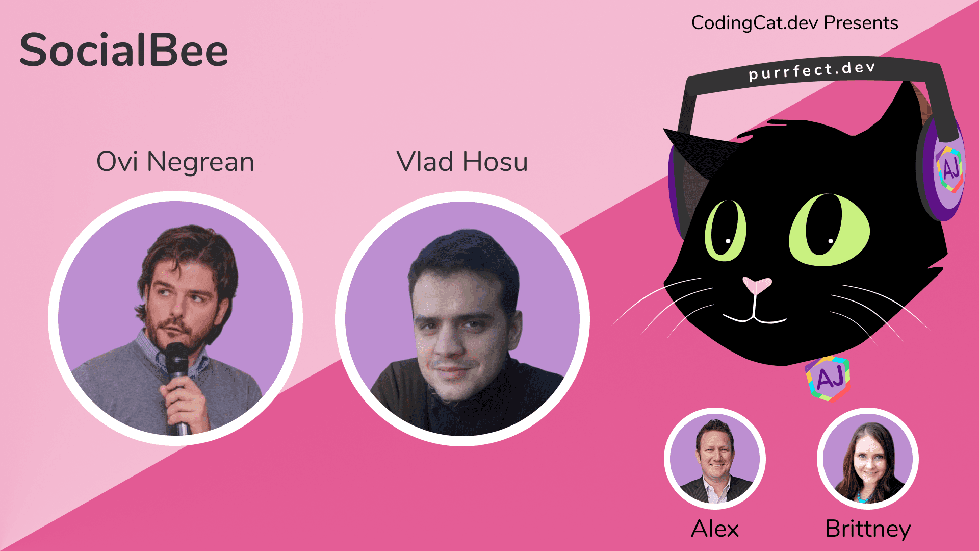 1.7 - SocialBee with Ove and Vlad